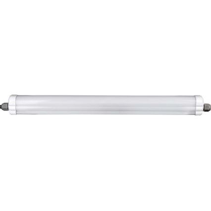 LED Radna fluorescentna cev G-SERIES LED/18W/230V 6500K IP65 60 cm