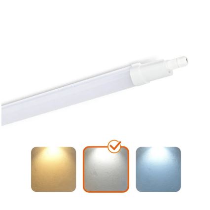LED Radna fluorescentna cev LED/36W/230V IP65 4000K 126 cm