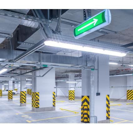 LED Radna fluorescentna cev NEXFORCE LED/52W/230V IP66 4000K