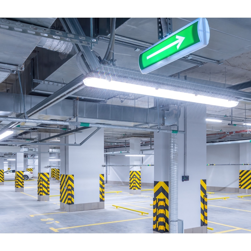 LED Radna fluorescentna cev NEXFORCE LED/52W/230V IP66 4000K