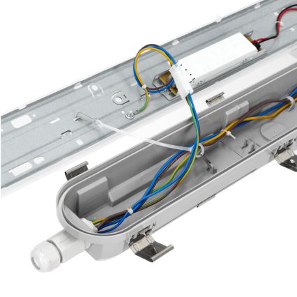 LED Radna fluorescentna cev NEXFORCE LED/52W/230V IP66 4000K