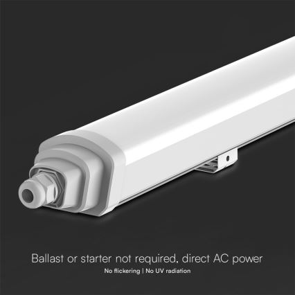 LED Radna fluorescentna cev SAMSUNG CHIP LED/48W/230V 4000K IP65 150 cm