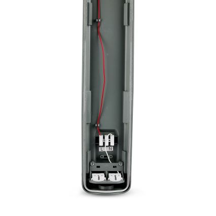 LED Radna fluorescentna cev T8 2xG13/22W/230V IP65 6400K 156 cm