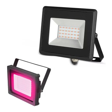 LED reflektor LED/20W/230V IP65 ružičasto svetlo