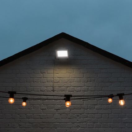LED Reflektor LED/50W/230V IP65 3000/4000/6500K sivo