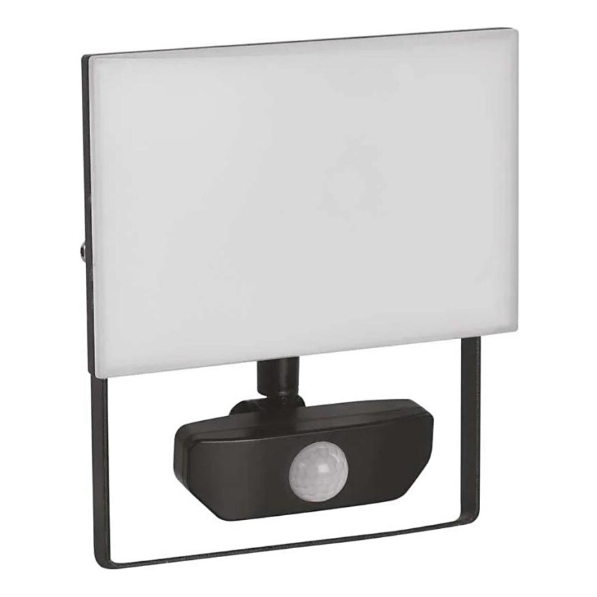 LED Reflektor sa senzorom TAMBO LED/30W/230V 4000K IP54