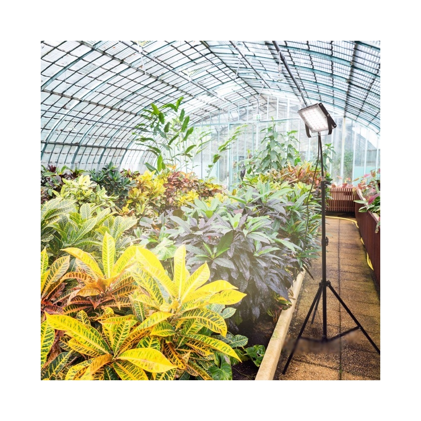 LED reflektor sa stalkom za uzgoj biljaka FIRON LED/45W/230V IP54 crna
