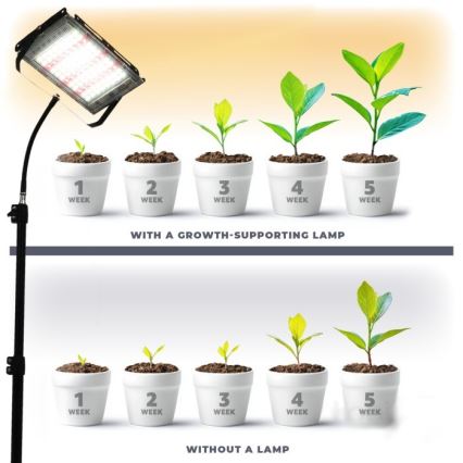 LED reflektor sa stalkom za uzgoj biljaka FIRON LED/45W/230V IP54 crna