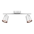 LED Reflektorska lampa 2xLED/5W/230V 3000K bela