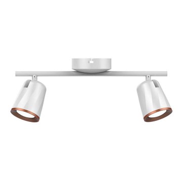 LED Reflektorska lampa 2xLED/5W/230V 3000K bela