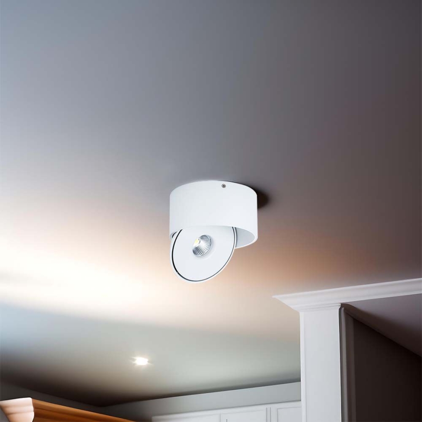LED Fleksibilna reflektorska lampa LED/20W/230V 3000/4000/6400K CRI 90 bela