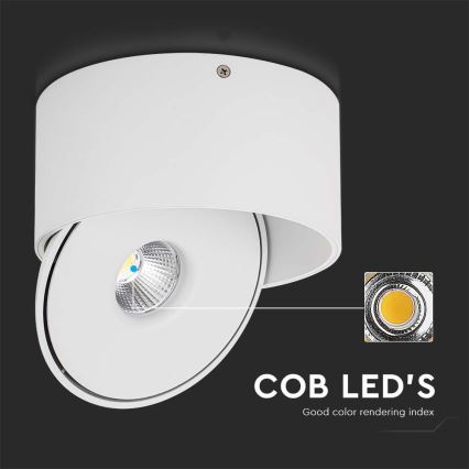 LED Fleksibilna reflektorska lampa LED/20W/230V 3000/4000/6400K CRI 90 bela