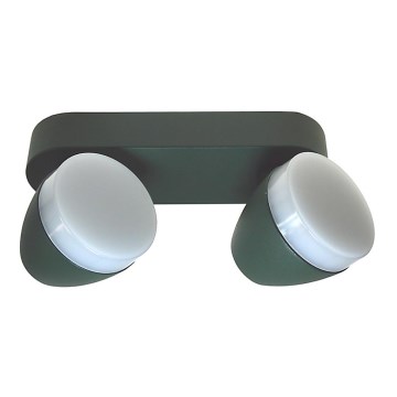 LED Reflektorska lampa SURMUR 2xLED/6W/230V zelena