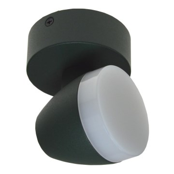 LED Reflektorska lampa SURMUR LED/6W/230V zelena