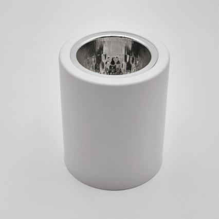 LED Reflektorska lampa TACO 1xE27/15W/230V bela