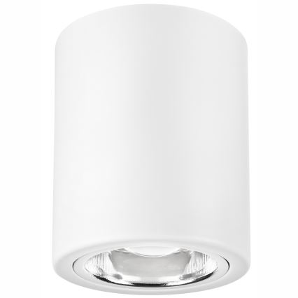 LED Reflektorska lampa TACO 1xE27/15W/230V bela