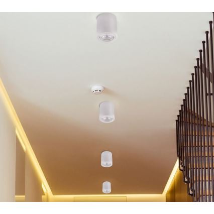 LED Reflektorska lampa TUBA 1xGU10/5W/230V 2700K bela