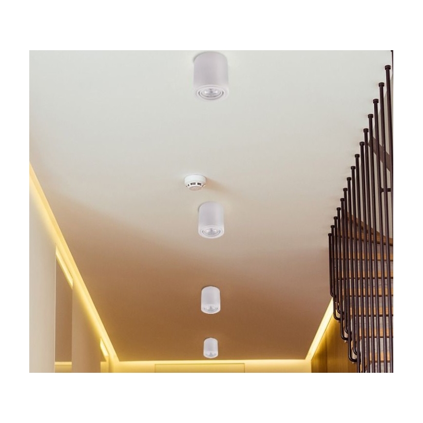 LED Reflektorska lampa TUBA 1xGU10/5W/230V 2700K bela