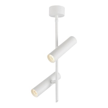 LED Reflektorska lampa TUBA 2xLED/10W/230V bela