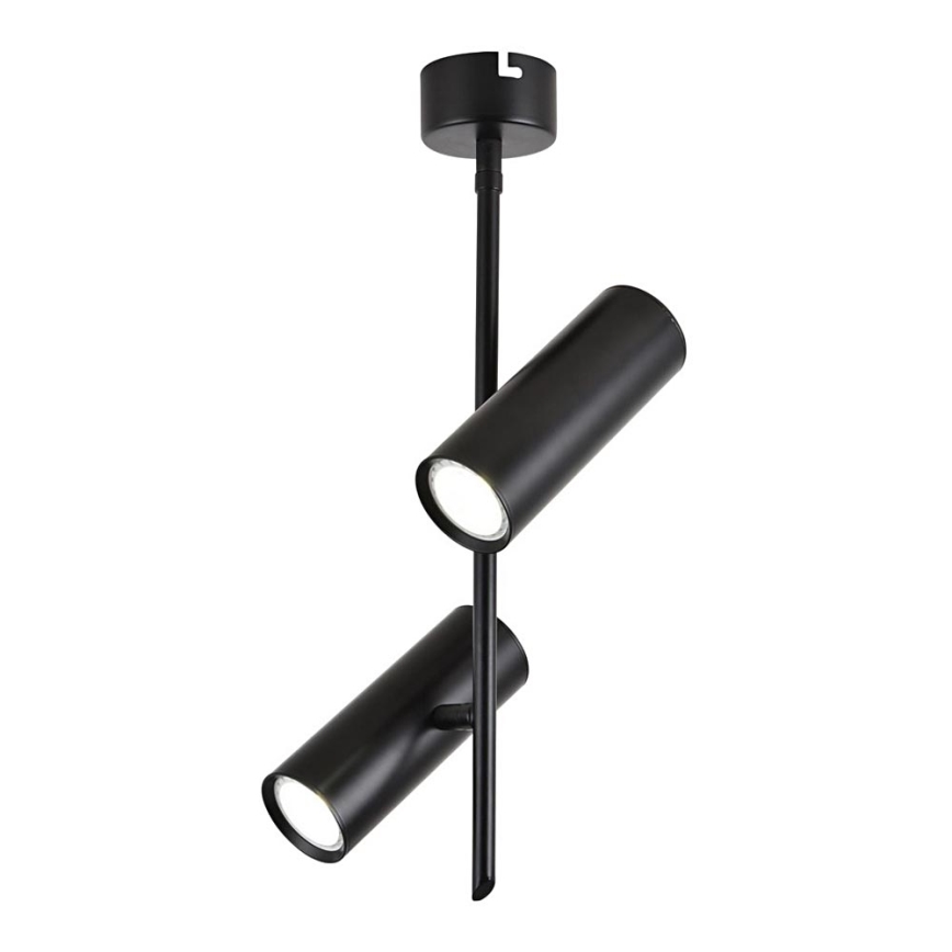 LED Reflektorska lampa TUBA 2xLED/10W/230V crno