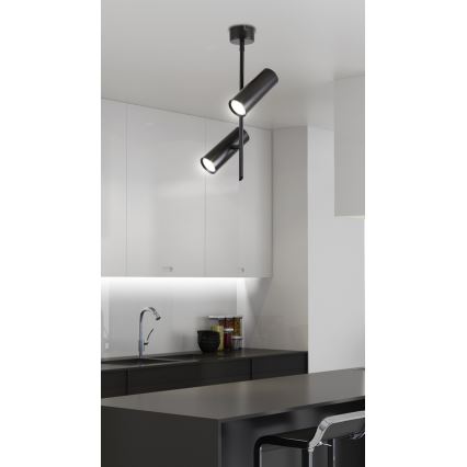 LED Reflektorska lampa TUBA 2xLED/10W/230V crno