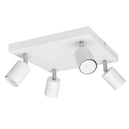 LED Reflektorska lampa TUNE 4xGU10/4,8W/230V bela