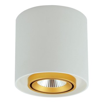 LED Reflektorska lampa XENO LED/15W/230V bela 1200lm