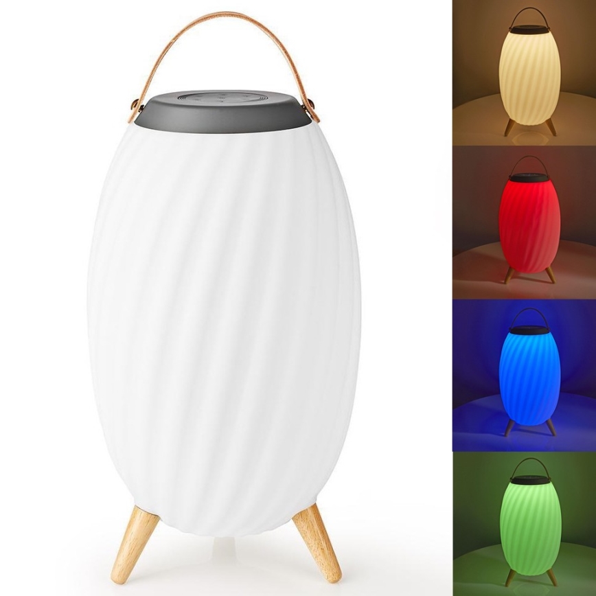 LED RGB Punjiva stona lampa sa zvučnikom 60W/2200 mAh IPX5