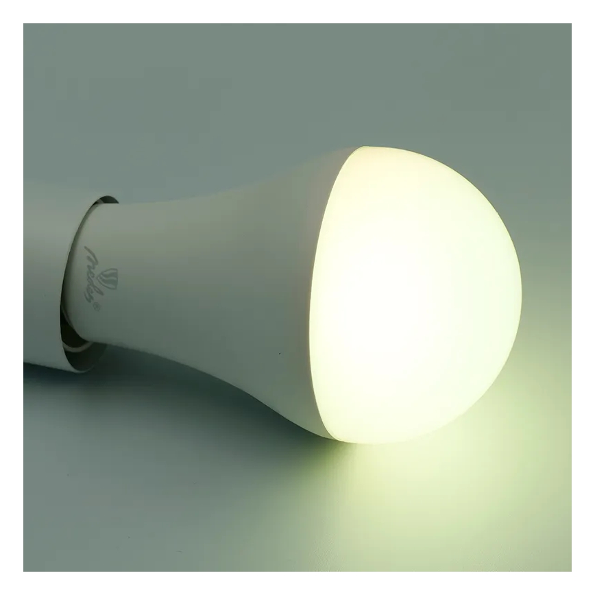 LED RGBW Prigušiva sijalica A60 E27/15W/230V 2700-6500K Wi-Fi Tuya