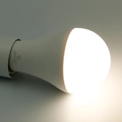 LED RGBW Prigušiva sijalica A60 E27/15W/230V 2700-6500K Wi-Fi Tuya