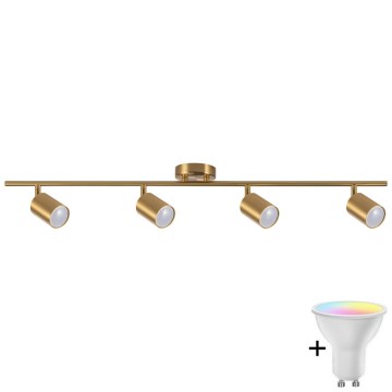 LED RGBW prigušiva spot svetiljka GOLDI 4xGU10/6,5W/230V 2700-6500K Wi-Fi zlatna