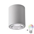 LED RGBW prigušiva spot svetiljka JUPITER 1xE27/6,5W/230V 2700-6500K Wi-Fi prečnik 9,8 cm siva