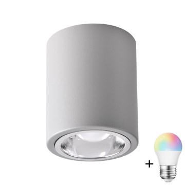 LED RGBW prigušiva spot svetiljka JUPITER 1xE27/6,5W/230V 2700-6500K Wi-Fi prečnik 9,8 cm siva