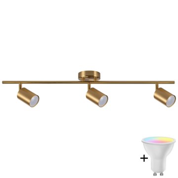 LED RGBW prigušiva spot svetlo GOLDI 3xGU10/6,5W/230V 2700-6500K Wi-Fi zlatna