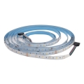 LED RGBW prigušiva traka za kupatilo DAISY 5m dnevna bela IP65