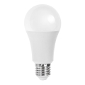 LED Sijalica A60 E27/21W/230V 6500K - Aigostar
