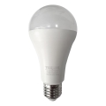 LED Sijalica A65 E27/18W/230V 4200K