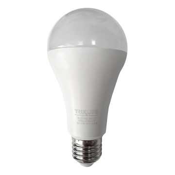 LED Sijalica A65 E27/18W/230V 4200K