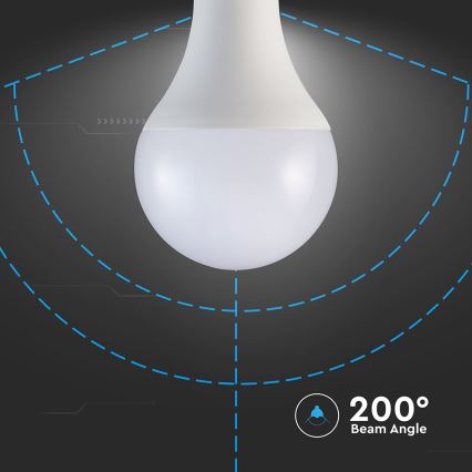 LED sijalica A80 E27/20W/230V 3000K