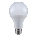 LED sijalica A80 E27/20W/230V 4000K
