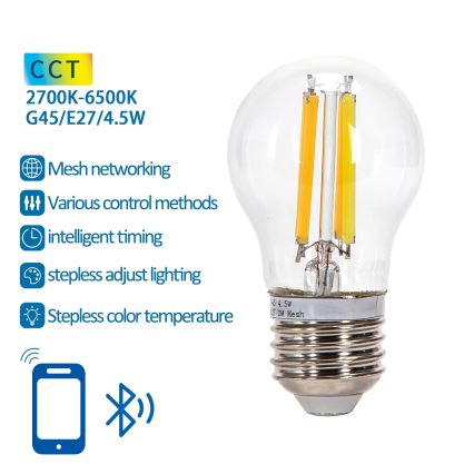 LED Prigušiva sijalica FILAMENT MESH Smart G45 E27/4,5W/230V 2700-6500K - Aigostar