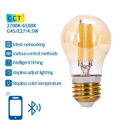 LED Prigušiva sijalica FILAMENT MESH Smart G45 E27/4,5W/230V 2700-6500K - Aigostar