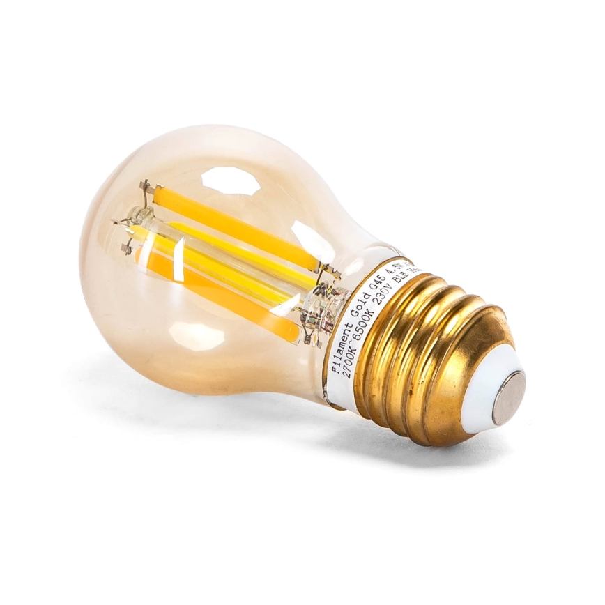LED Prigušiva sijalica FILAMENT MESH Smart G45 E27/4,5W/230V 2700-6500K - Aigostar