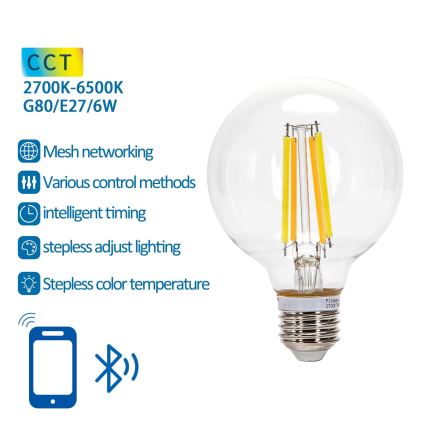 LED Prigušiva sijalica FILAMENT MESH Smart G80 E27/6W/230V 2700-6500K - Aigostar