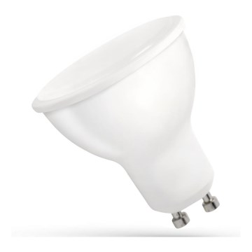 LED Sijalica GU10/6W/230V 6000K