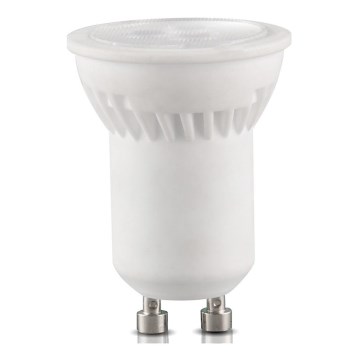 LED Sijalica GU10-MR11/4W/230V 4000K