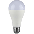 LED Sijalica SAMSUNG CHIP A65 E27/17W/230V 3000K
