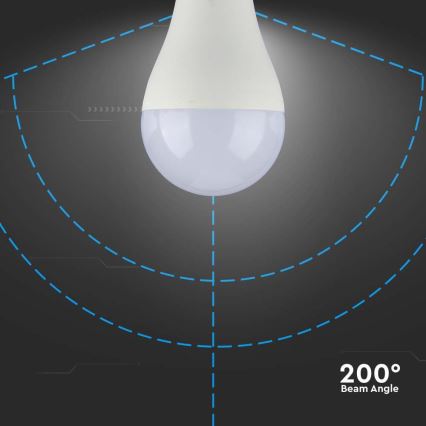 LED Sijalica SAMSUNG CHIP A65 E27/17W/230V 3000K