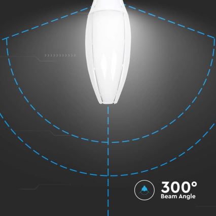 LED Sijalica SAMSUNG CHIP E40/60W/230V 4000K