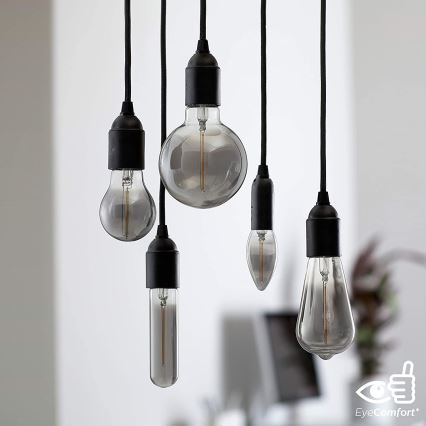 LED Sijalica SMOKY VINTAGE Philips T32 E27/2,3W/230V 1800K
